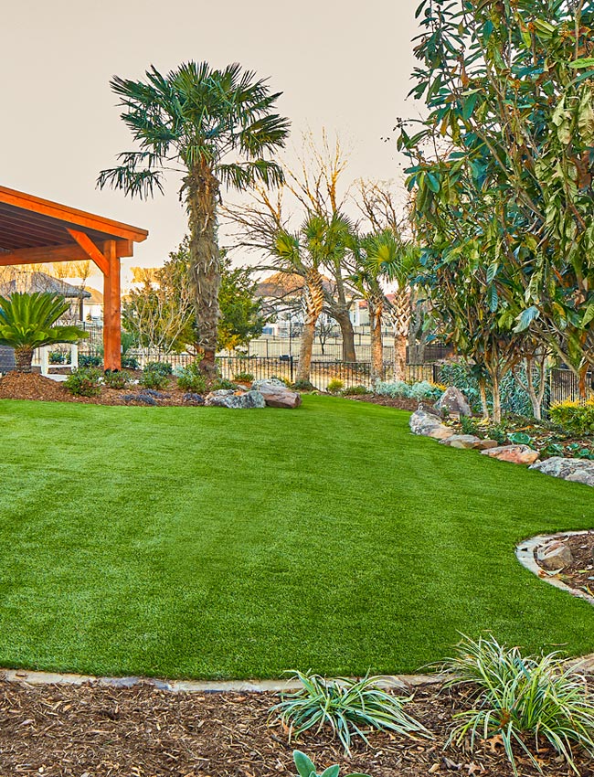 The Lawn at Domain NORTHSIDE - Best Artificial Grass Surrounded by